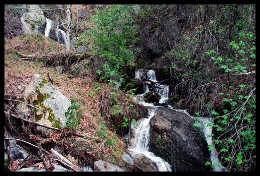 Friendly Falls