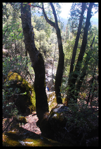Oliver Creek