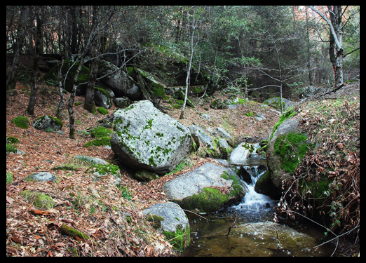 Oliver Creek